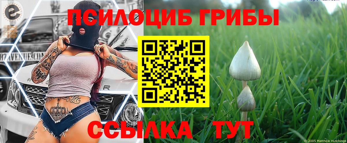 Псилоцибиновые грибы ЛСД Бийск