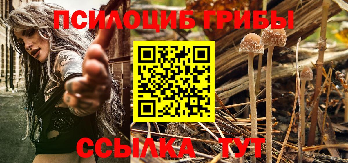 Псилоцибиновые грибы Magic Shrooms  Вход с VPN  Псилоцибиновые грибы Cubensis  Бийск 