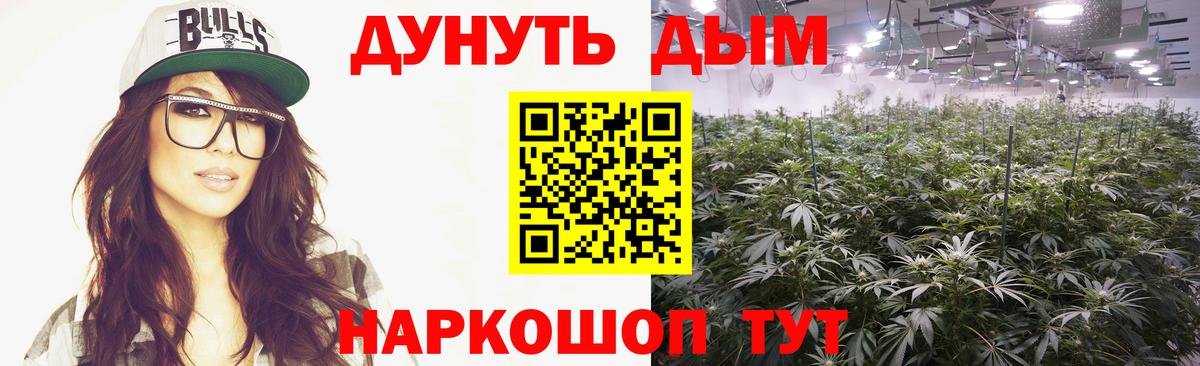 Бошки Шишки марихуана Бийск